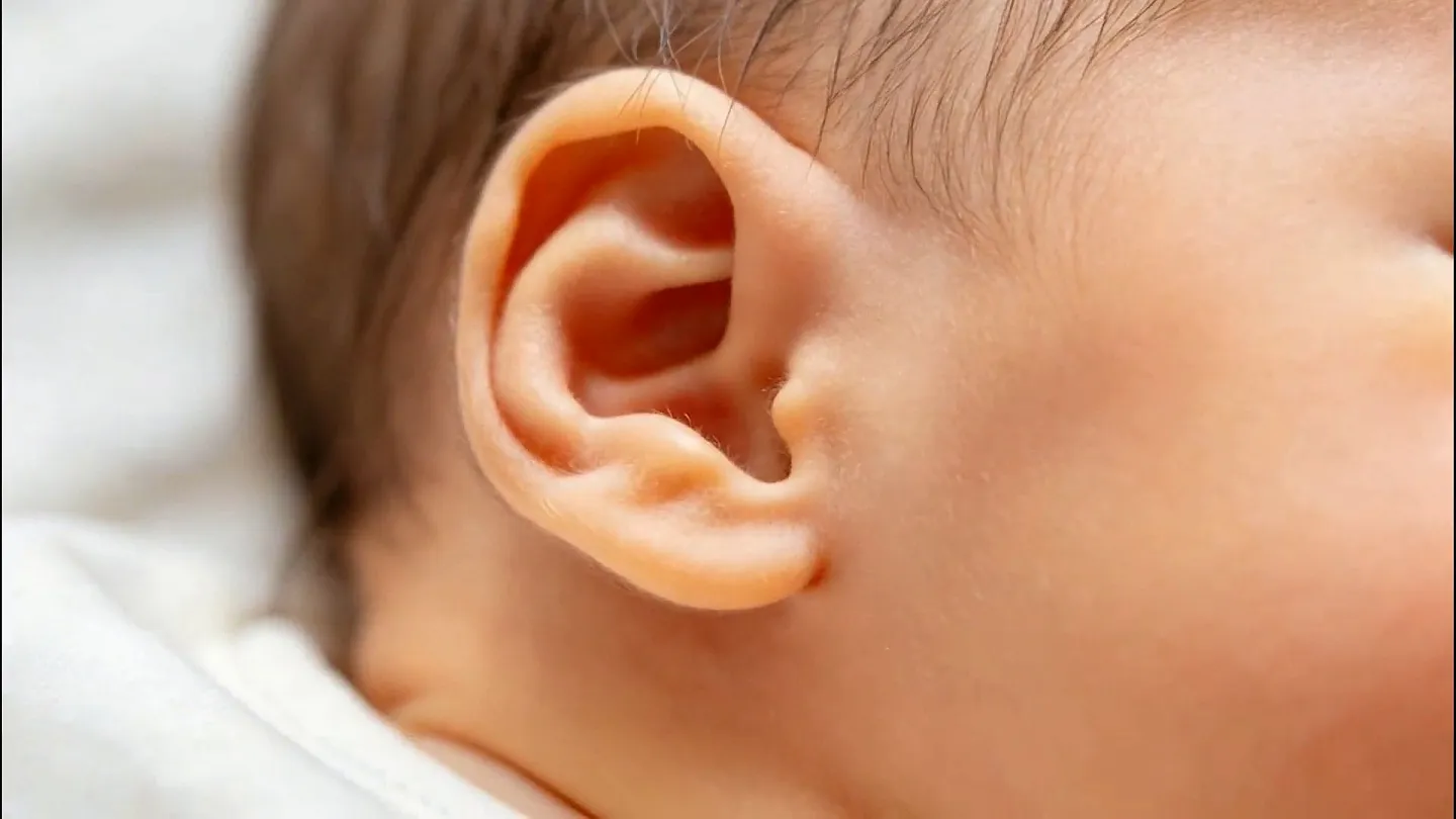 Aperçu de la vidéo Audition de l'enfant